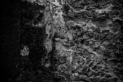Abstract black and white image of textures and materials Photograph by Jelena Jovanovic Abstract black and white image of textures and materials Photograph by Jelena Jovanovic