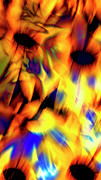 Abstract Daisy Vertical Digital Art by Kathy Paynter Abstract Daisy Vertical Digital Art by Kathy Paynter