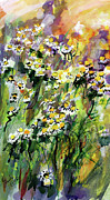 Abstract Floral Chamomile Flowers Painting by Ginette Callaway