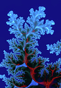 Abstract Fractal Art with Blue and Red tones Digital Art by Matthias Hauser