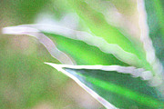 Abstract Green Digital Art by Kathy Paynter