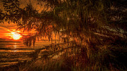Abstract Sunrise Photograph by Bill Posner