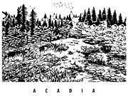 Acadia National Park Black and White Digital Art by Long Shot