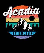 Acadia National Park Maine Mountains Retro Digital Art by Maximus Designs