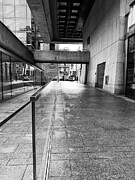 Across And Above Photograph by Edward Lee