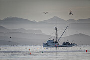 Adriatic Star 2024 Photograph by Randy Hall