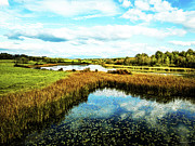 Aerial view swamp in Shoreham, Vermont Photograph by Eric Killorin