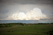 After the Storm Photograph by Granny B Photography