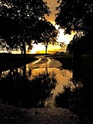 After the Storm in Echo Park  Photograph by Donna Martin