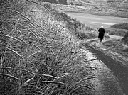 Downhill From Here Photograph by Jim Signorelli Downhill From Here Photograph by Jim Signorelli