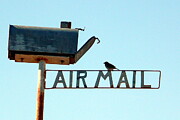 Air Mail Digital Art by Dominique Lecomte