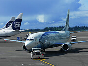 Alaska Airlines Boeing 737 Salmon Thirty Salmon Livery at Seattle Photograph by Erik Simonsen Alaska Airlines Boeing 737 Salmon Thirty Salmon Livery at Seattle Photograph by Erik Simonsen