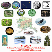 Alaska State Symbols Photograph by Robert Banach