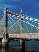 Albert Bridge Photograph by Andrea Whitaker Albert Bridge Photograph by Andrea Whitaker