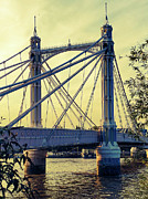 Albert Bridge Over the Thames Photograph by Andrea Whitaker Albert Bridge Over the Thames Photograph by Andrea Whitaker