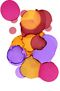 Alcohol Ink Improvisation 12130 Painting by Bentley Davis Alcohol Ink Improvisation 12130 Painting by Bentley Davis