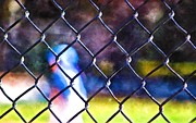 Alice through the chain link  Photograph by Robert Gluck