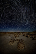 Alien Eggs Star Trails Photograph by George Buxbaum Alien Eggs Star Trails Photograph by George Buxbaum