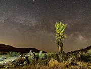 All Related Photograph by Daniel Hayes