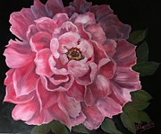 Alla Prima Peony Painting by Barbara Landry