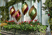 Allen Gardens Still Life Photograph by Marilyn Cornwell