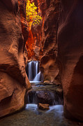 Allure Photograph by Ryan Smith