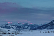 Alpenglow, Lamar Valley, Yellowstone National Park Photograph by The Yellowstone Collection