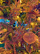 Amber Ornaments Photograph by Juliette Becker