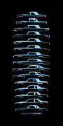 American Bird Coupe SilhouetteHistory Digital Art by Gabor Vida