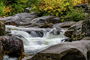 Ammonoosuc Cascade #1190 Photograph by Dan Beauvais