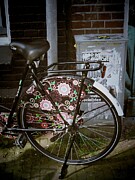 Amsterdam's Floral Ride Photograph by Travel Essayist Amsterdam's Floral Ride Photograph by Travel Essayist