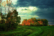 An old riverbed in the green field. Photograph by Dejan Travica
