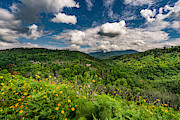 Anakeesta in the Great Smoky Mountains Photograph by Dave Morgan