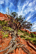 Ancient Wisdom Photograph by ABeautifulSky Photography by Bill Caldwell