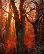 And the dawn came up like thunder Photograph by Alan Norsworthy