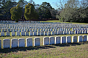 Andersonville National Cemetery Photograph by Ron Long Andersonville National Cemetery Photograph by Ron Long