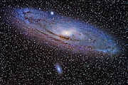 Andromeda Galaxy Photograph by Ralf Rohner
