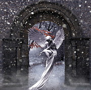 Angel in the Garden  Photograph by Andrea Kollo