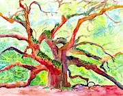 Angel Oak Tree in Sunshine Painting by Carlin Blahnik CarlinArtWatercolor