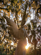 Angel of Light, Amelia Island, Florida Photograph by Dawna Moore Photography