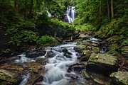 Anna Ruby Falls Photograph by Amy Dundon
