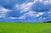 Answered Prayers, Storm Clouds Over Soybean Field Photograph by Victoria Plut