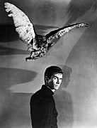 ANTHONY PERKINS in PSYCHO -1960-, directed by ALFRED HITCHCOCK. Photograph by Album