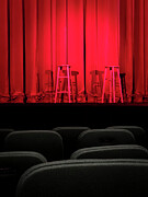 Anticipation  Photograph by Mary Lee Dereske