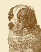 Antique Dog Portrait Digital Art by Madame Memento