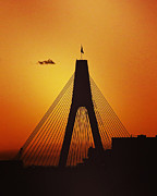 Anzac Bridge Photograph by Sarah Lilja Anzac Bridge Photograph by Sarah Lilja