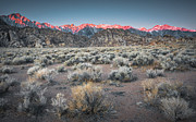Aplenglow Sunrise Photograph by Ryan Weddle