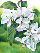 Apple Blossoms Painting by Daniela Easter