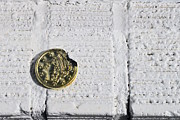 April Fools Day Coin Photograph by Kathy K McClellan