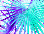 Aqua Violet Palmettos Photograph by Missy Joy